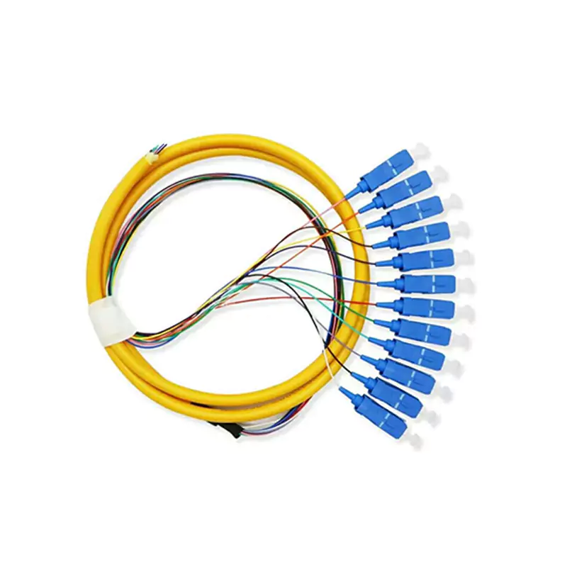 Twelve Core Pigtail